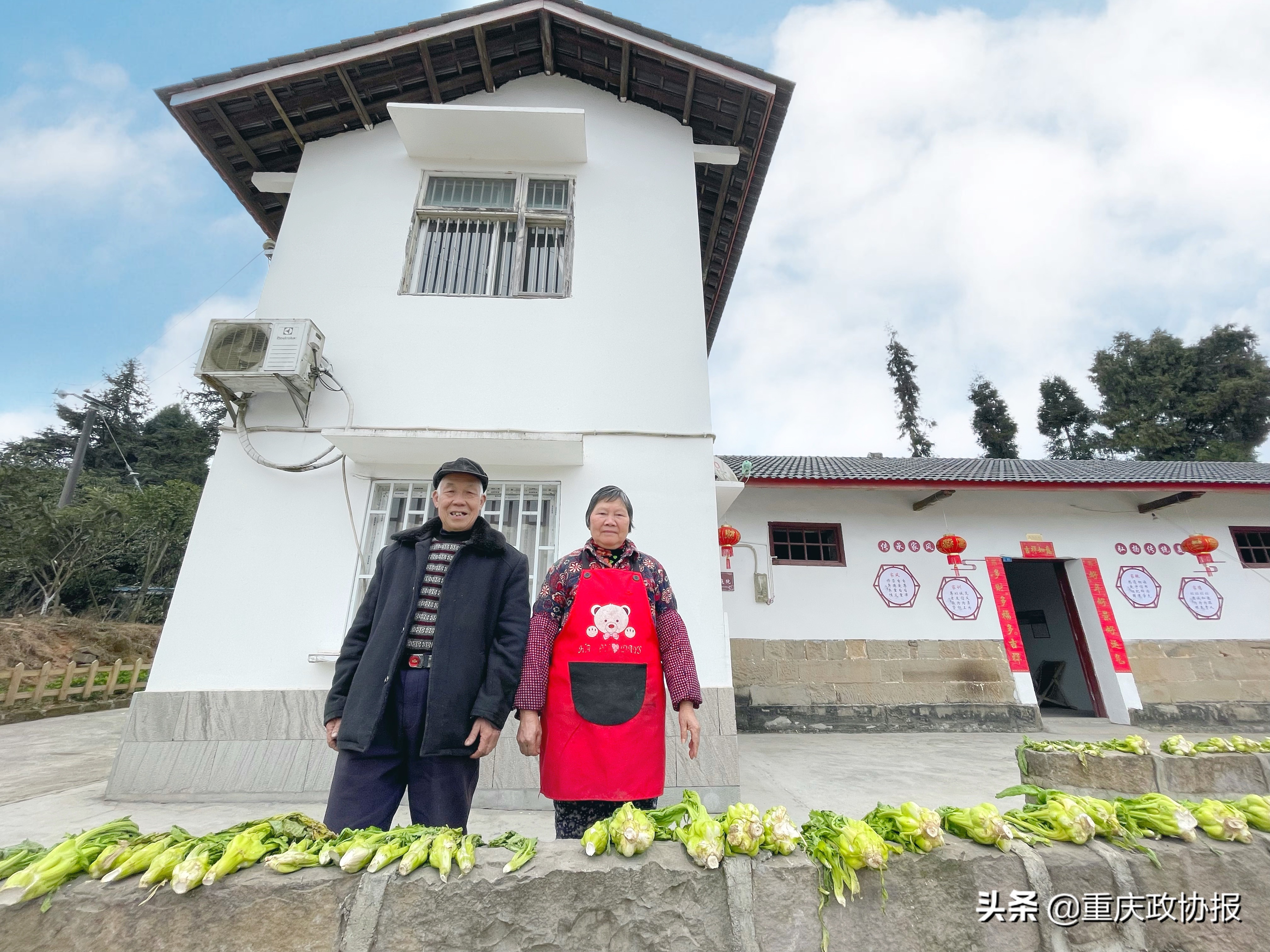 古村落寻踪,芙蓉古村简介