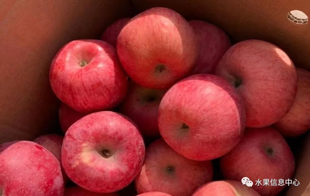 水果采购过程中的问题及解决方案,水果供应商怎么寻找采购商