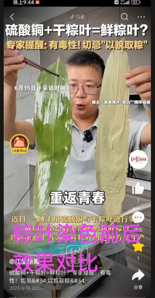 硫酸铜浸泡粽叶为什么会变鲜绿,干棕叶怎么变绿