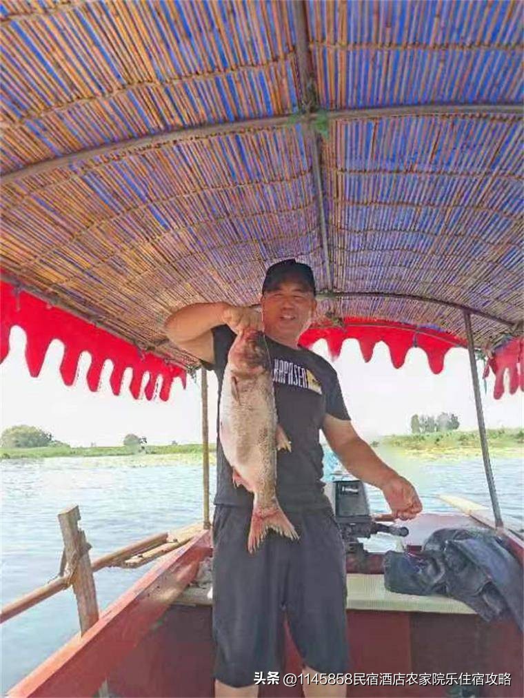 白洋淀农家打鱼,白洋淀农家院野钓推荐