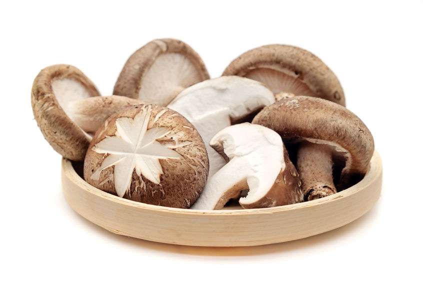 香菇的营养价值及功效与作用禁忌,香菇中哪种香菇的质量最佳