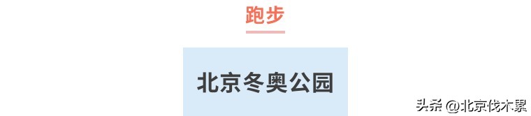 运动萌兽主题公园冬季,天气暖和了野地里撒欢