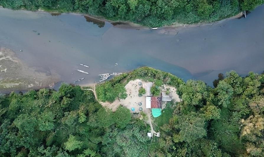 缅北诈骗集团真实录像，电击割腰子做*奴女**，连自杀都成为一种奢望