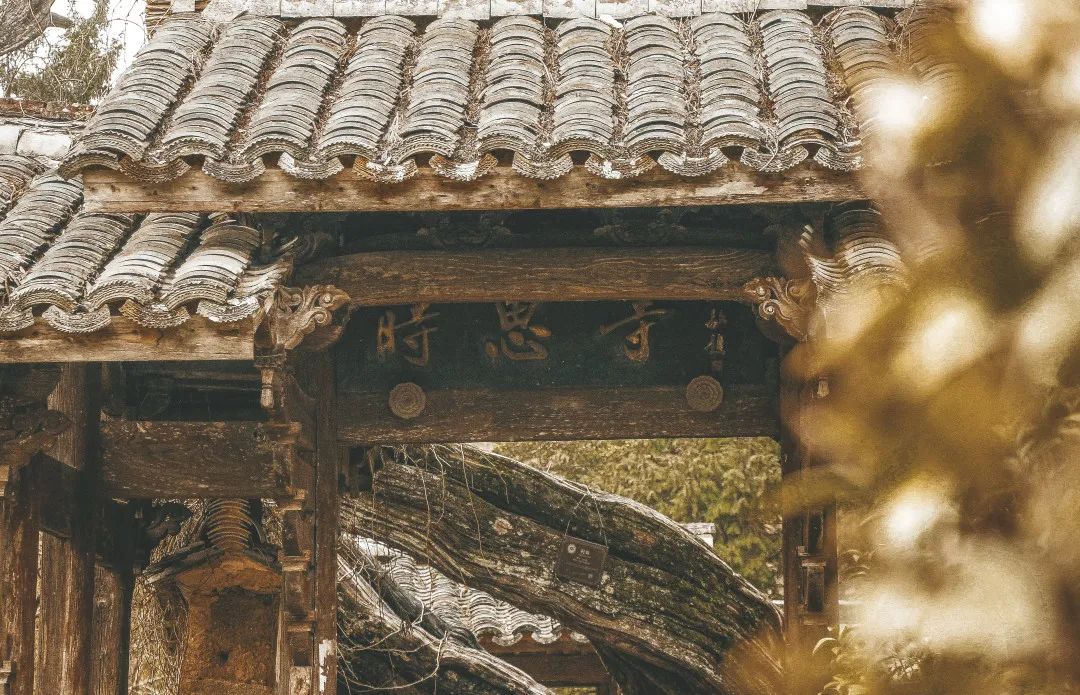 丽水游玩攻略一天,丽水游玩攻略2日游