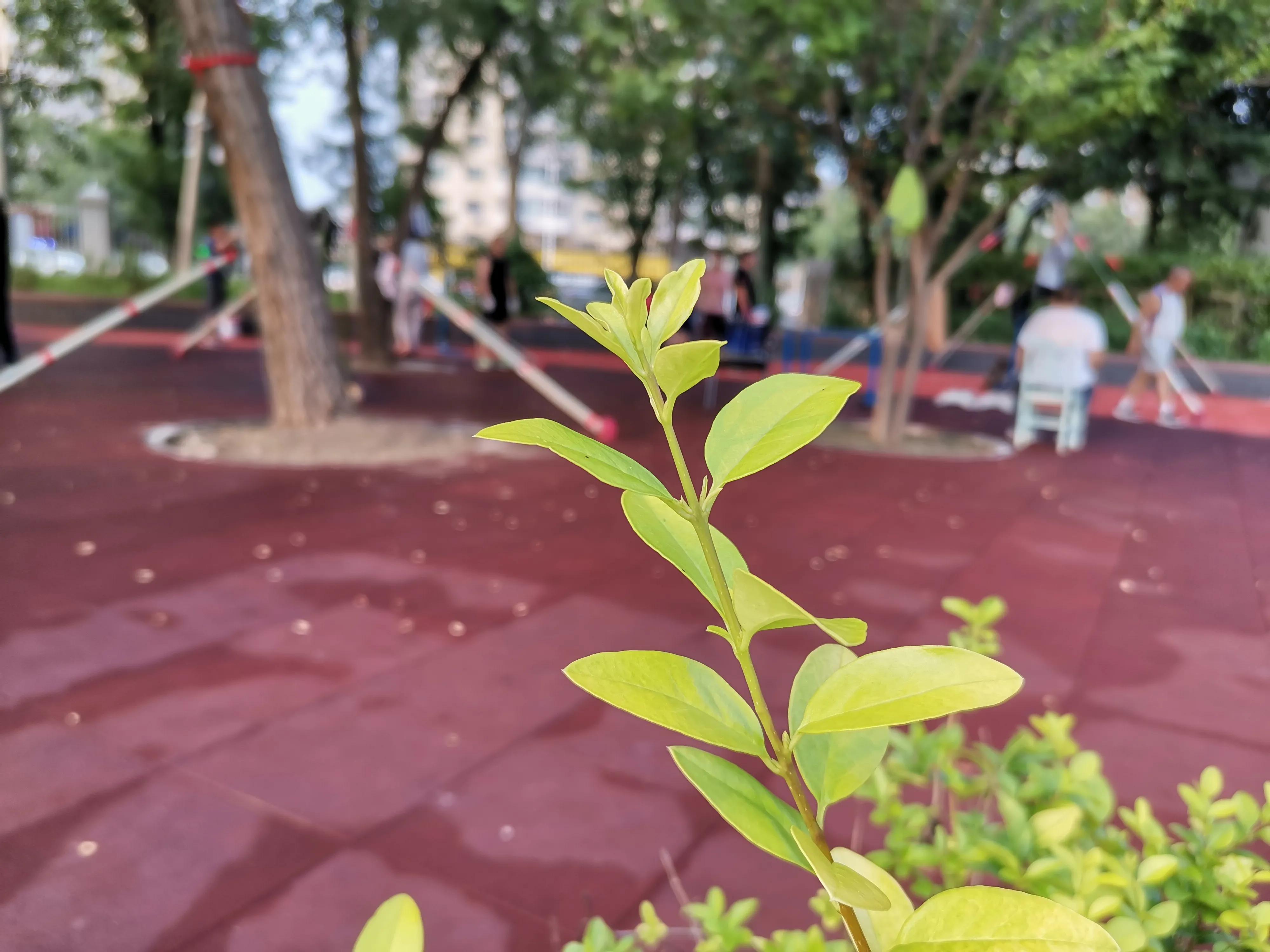 天津适合健身的公园,天津全民健身日