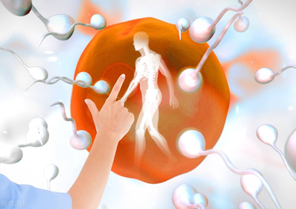 捐精是时代的进步还是退步？高科技的背后我们的身体付出了什么？