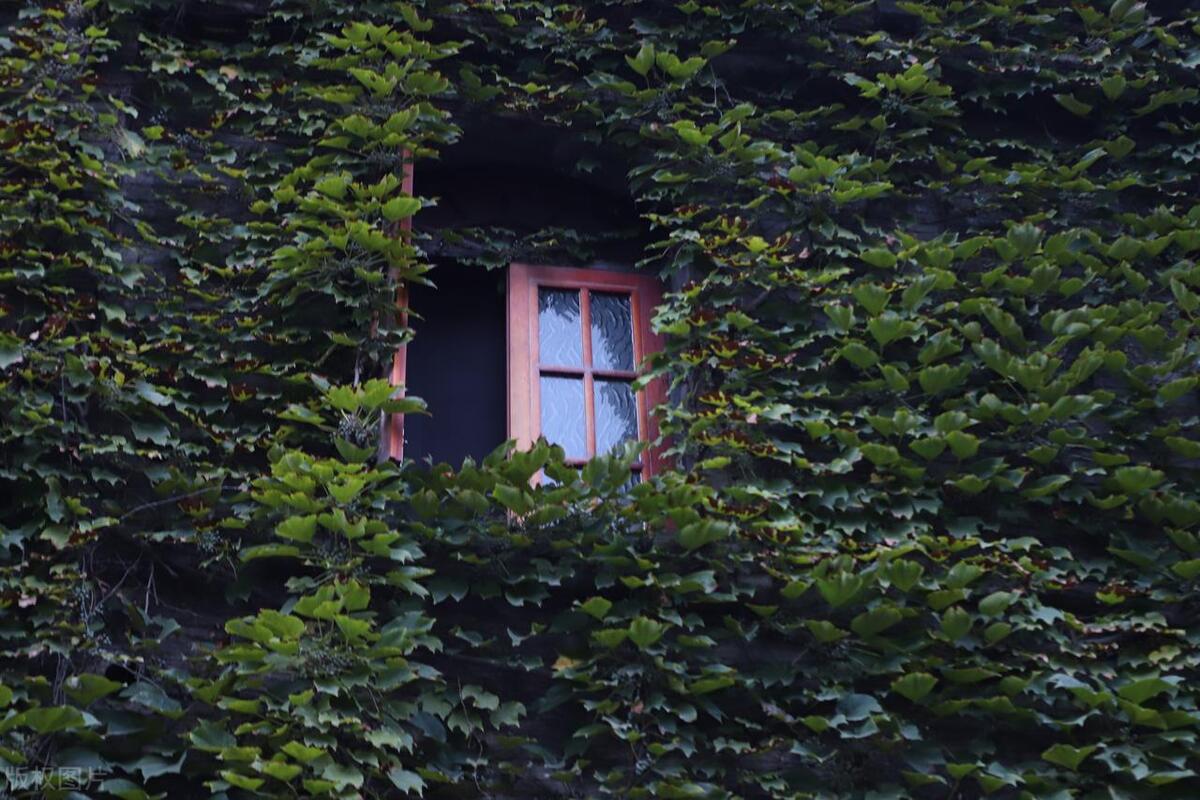 成都旅游全攻略自由行美食攻略,成都旅游攻略必吃特色最新