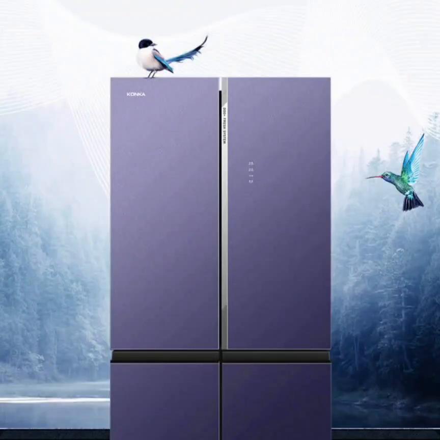 康佳双开门冰箱一级能效变频,康佳冰箱545升一级能效双变频