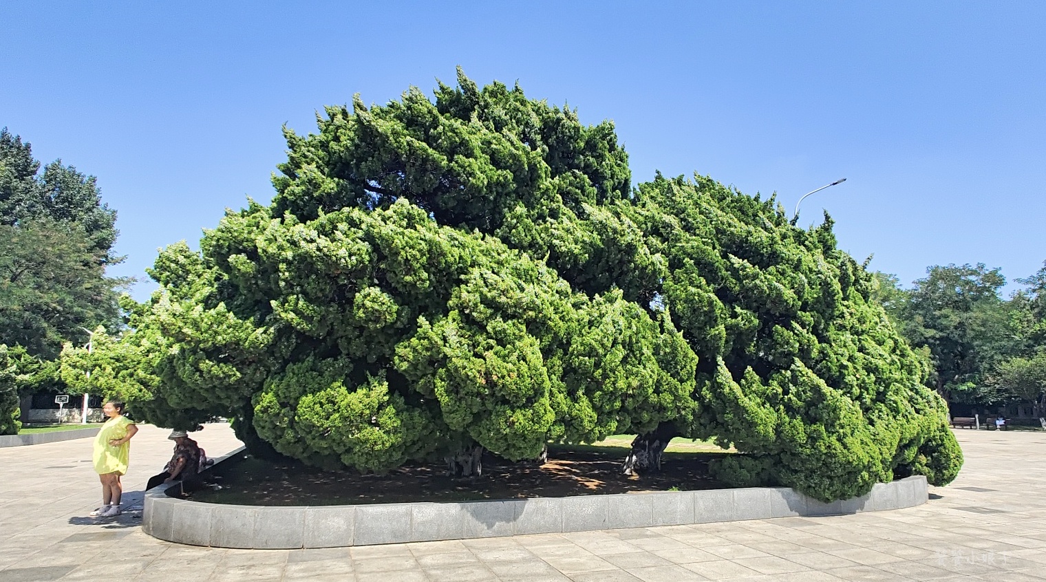 自驾大连旅顺：被旅游低估的军港小城，一个旅顺口，半部近代史