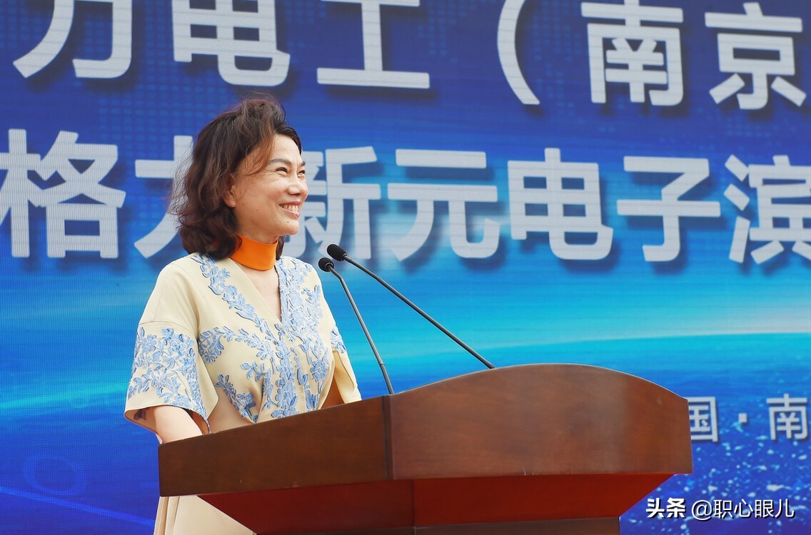 董明珠和王健林投资银隆怎么样,董明珠王健林马云入股银隆