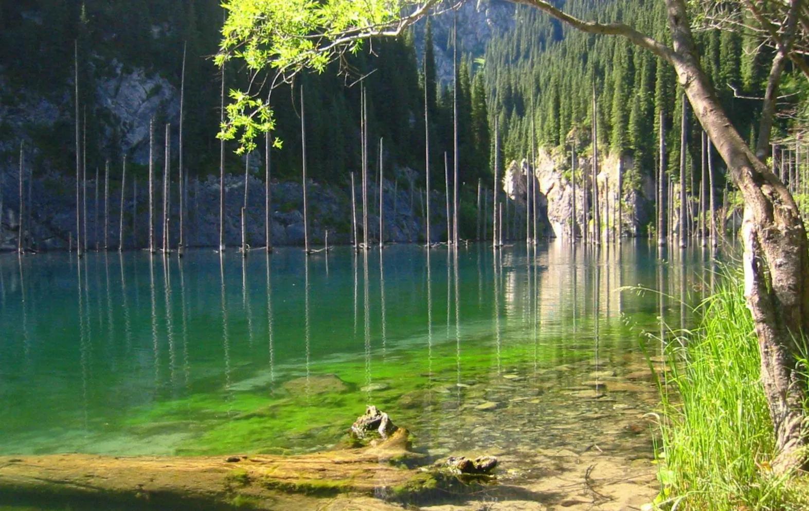 哈萨克斯坦硬币,哈萨克斯坦流通货币