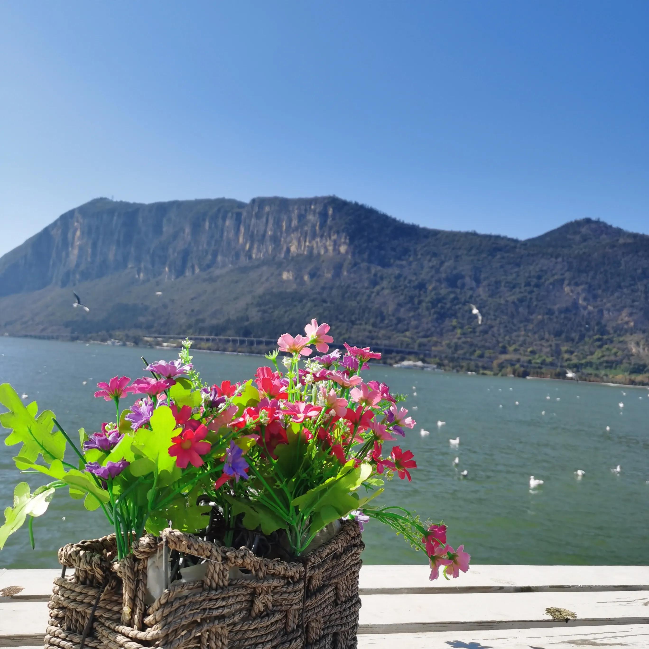 云南西双版纳有哪些景点值得去玩,西双版纳最值得一去的景点大排名