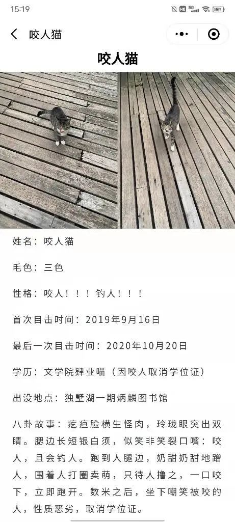 被黑天鹅打了,被黑天鹅打了一顿