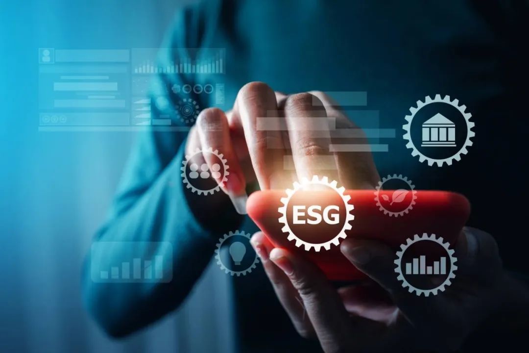 2021涓浗鐧惧己寰嬫墍姒滃崟,涓浗寰嬫墍鎺掑悕姒滃崟