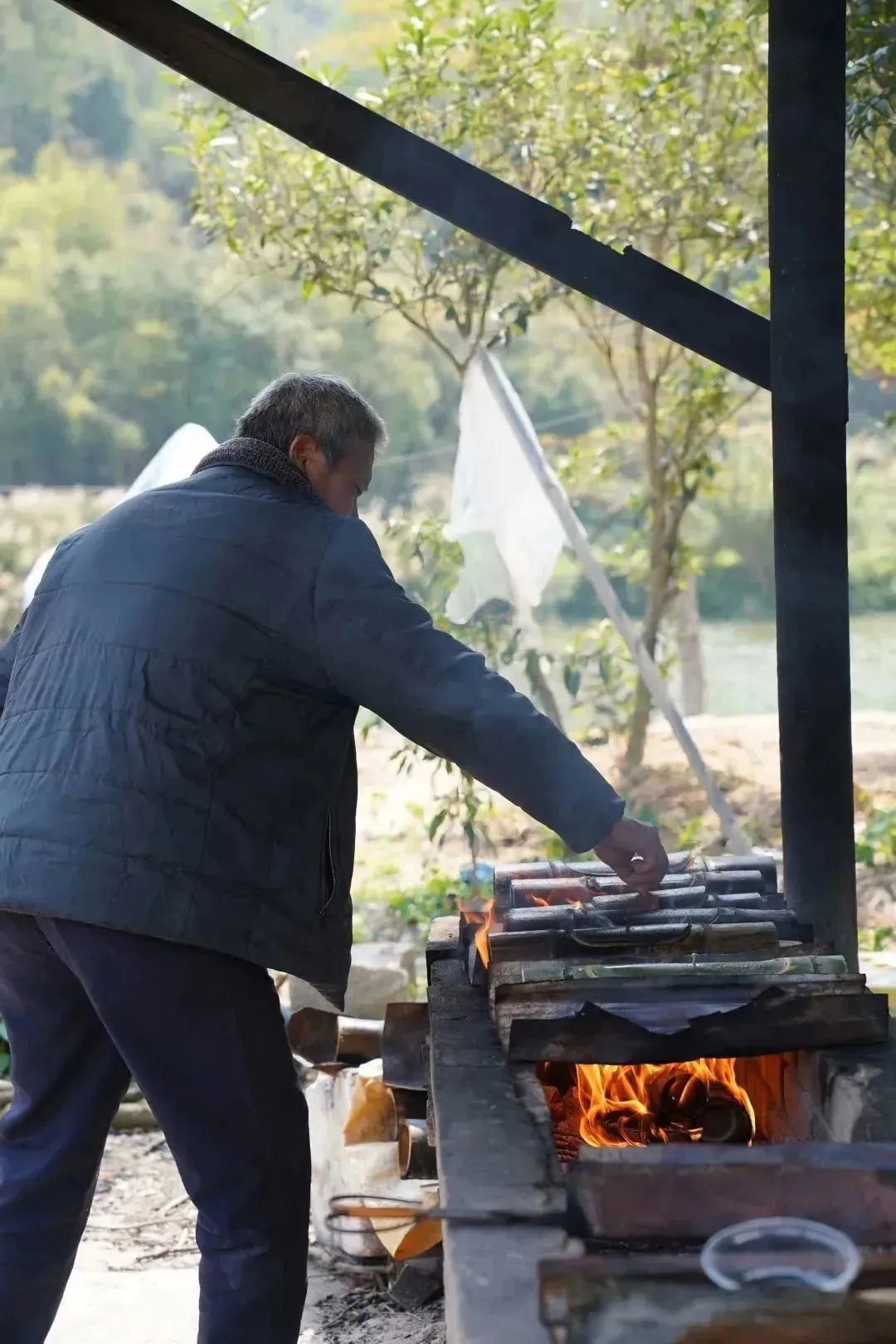 周末踏青好去处油菜花田,近期花海一日游最佳去处