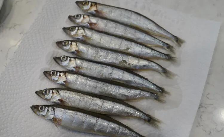 中老年人每天吃多少高蛋白合适,老人多食高蛋白食物好吗