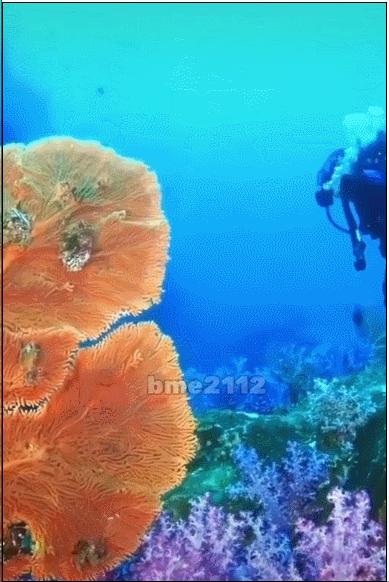 泰国一哥为婚礼一掷千金，与妻子闪婚被疑恨娶？还要拉踩前任？