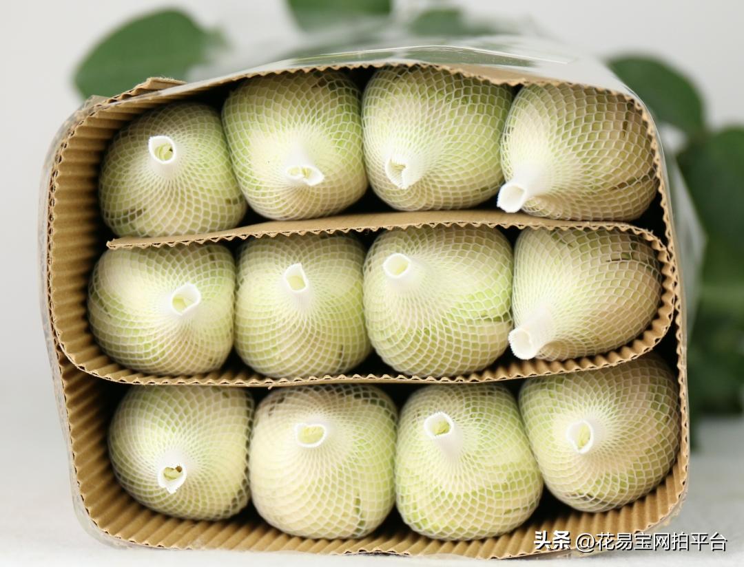 鲜花分级标准依据有哪些,鲜花种类等级排名