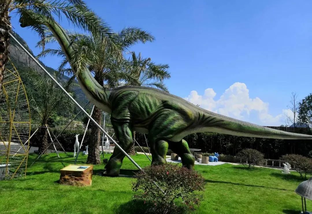 温州海边适合露营的地方推荐,温州夏日溯溪露营地推荐