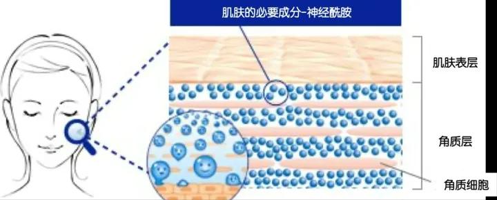 空调房待久了干燥,空调房呆久了皮肤干燥怎么办