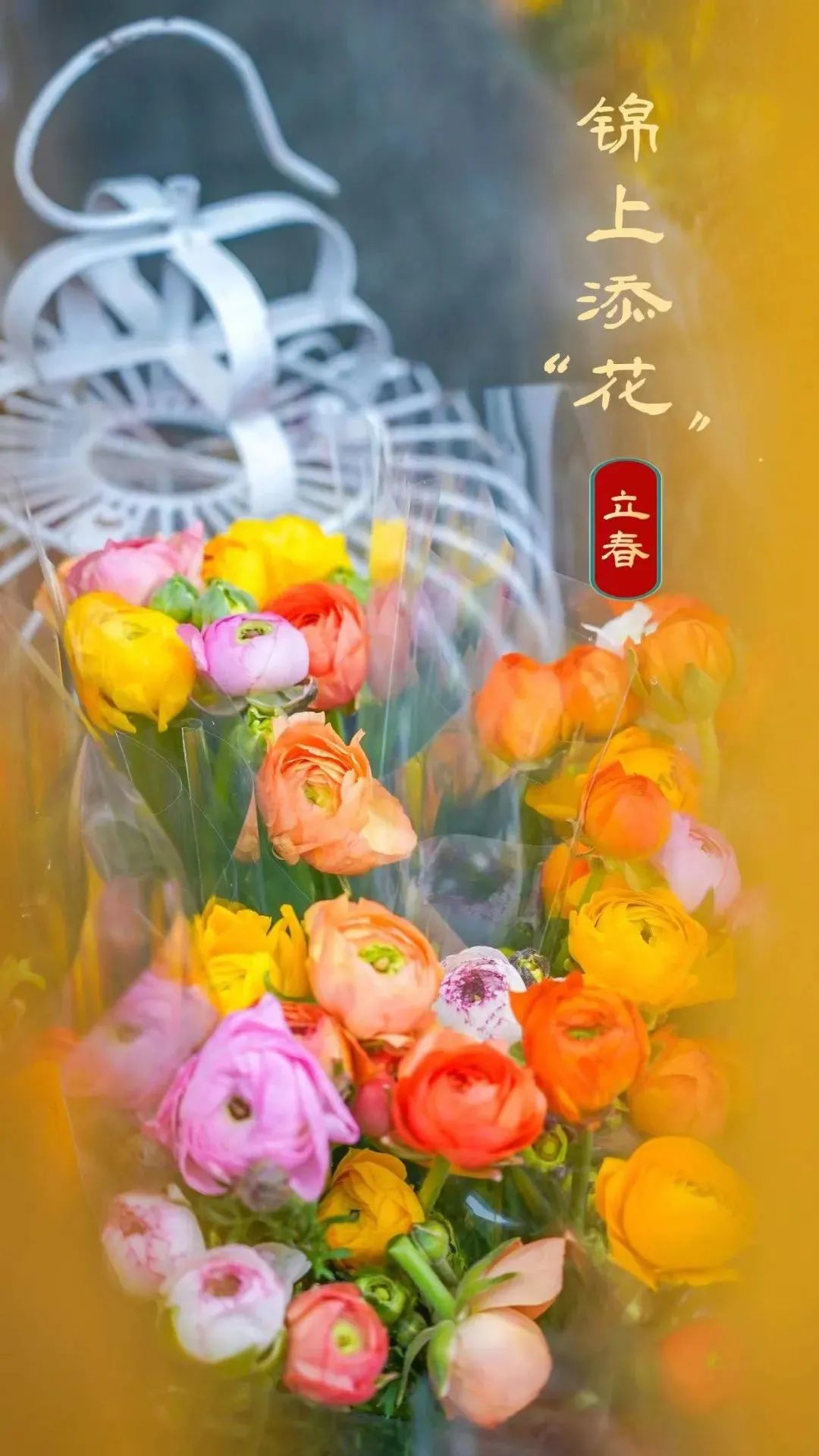 武汉惠民鲜花券领取时间,武汉鲜花优惠券