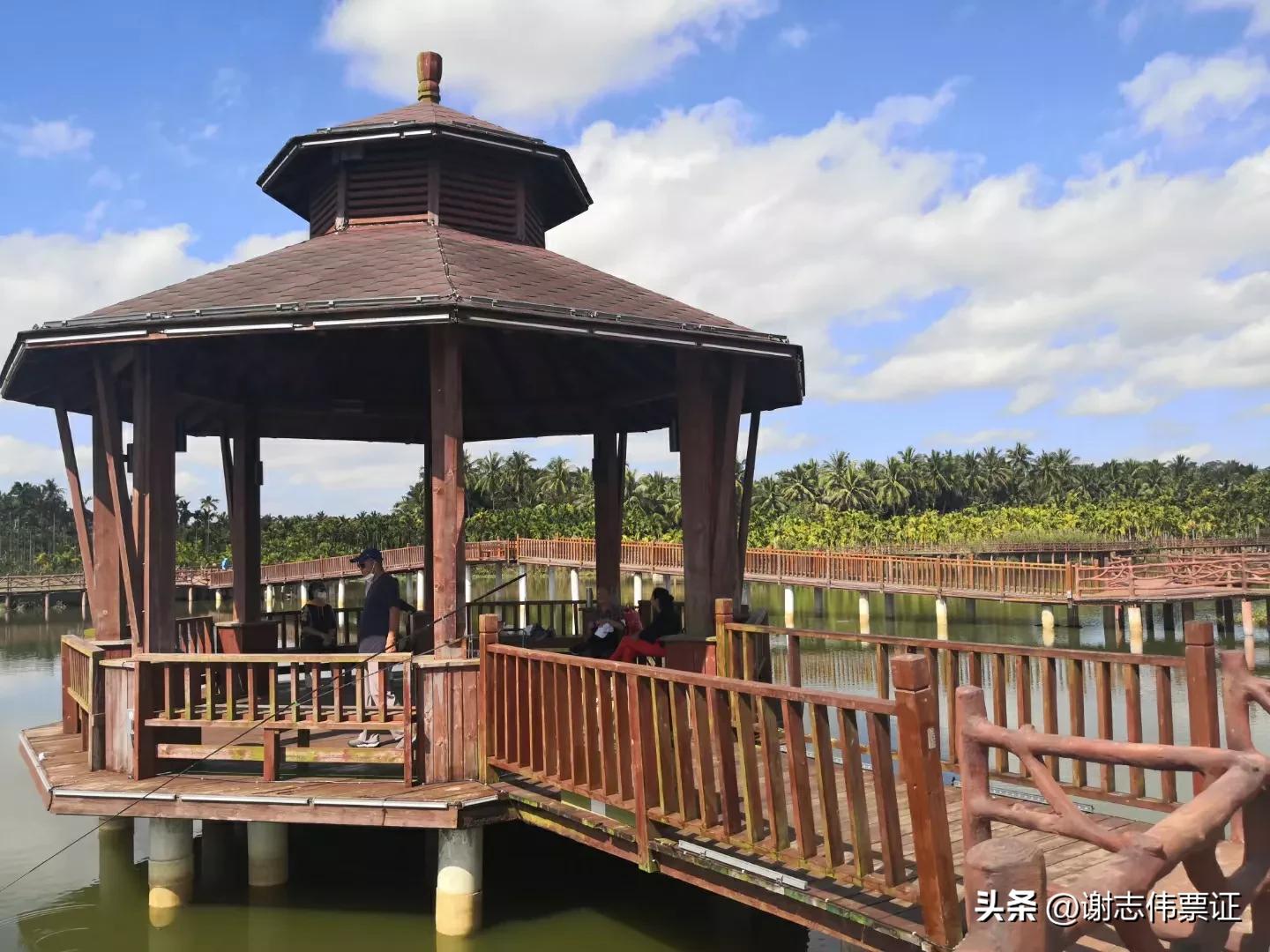 海南旅游起个时尚名字,带有海南特色的名字