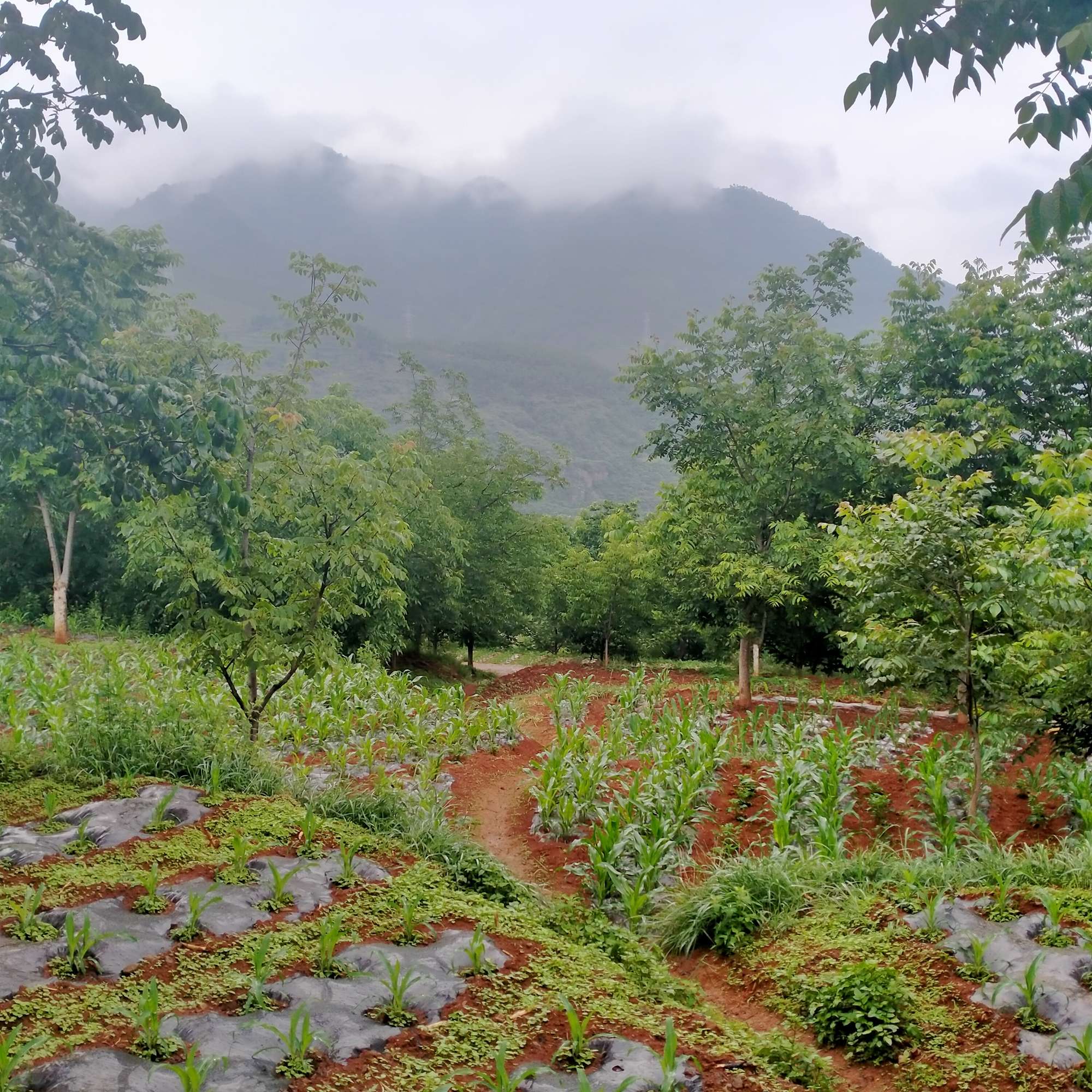 多想一觉醒来，我还是那个赖床的孩子