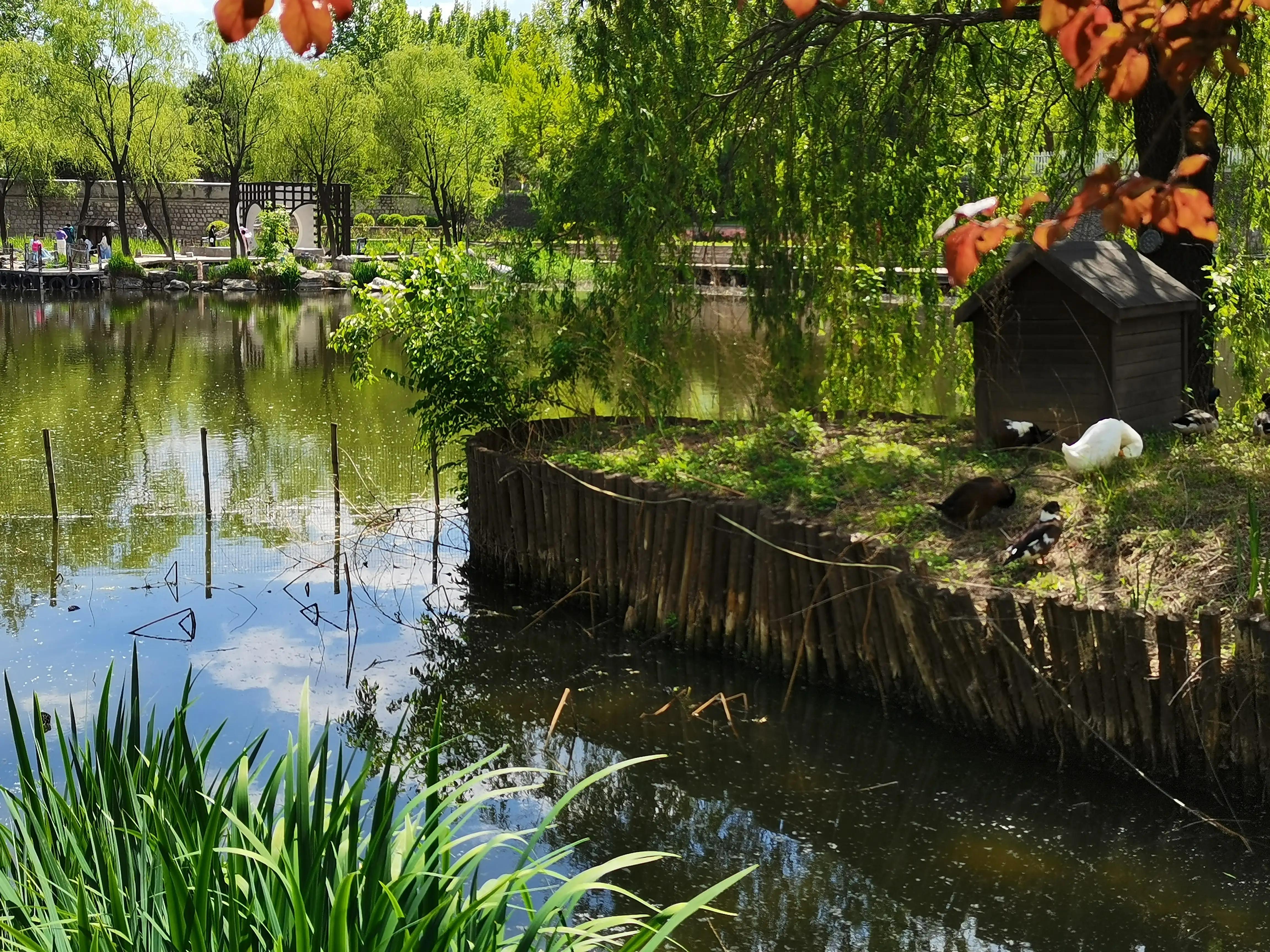 北京京西露营地,京西免费露营