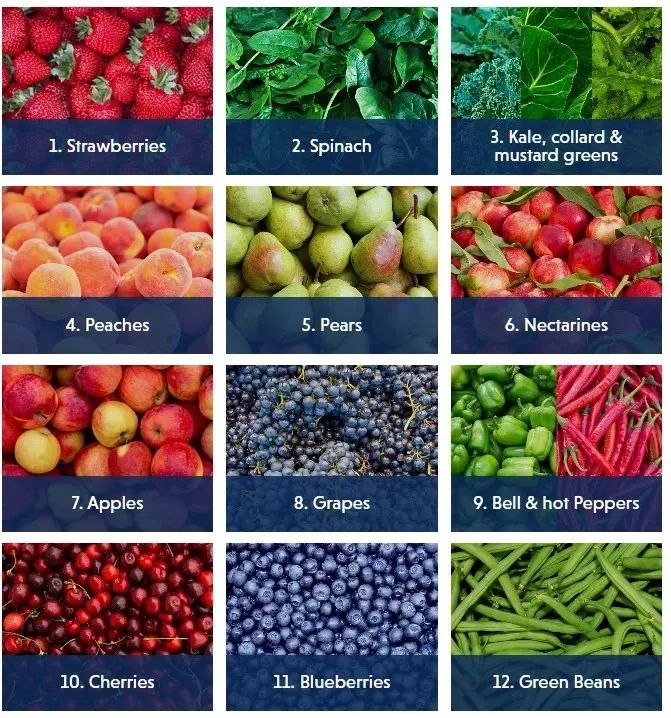 吃蓝莓叶黄素对改善视力有好处吗,吃蓝莓和吃胡萝卜哪个对视力更好