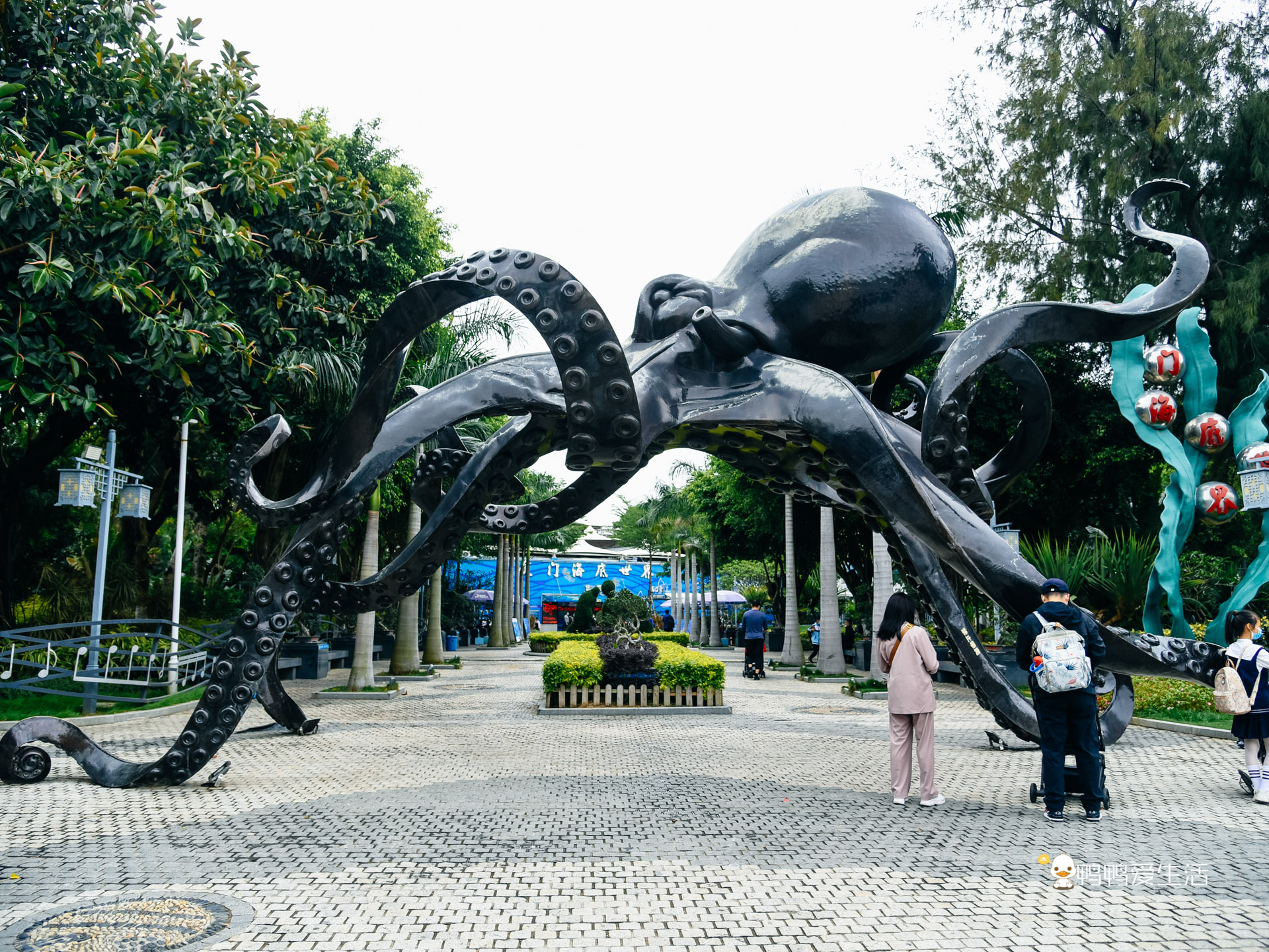 厦门鼓浪屿海底世界的抹香鲸,厦门鼓浪屿亲子旅游攻略