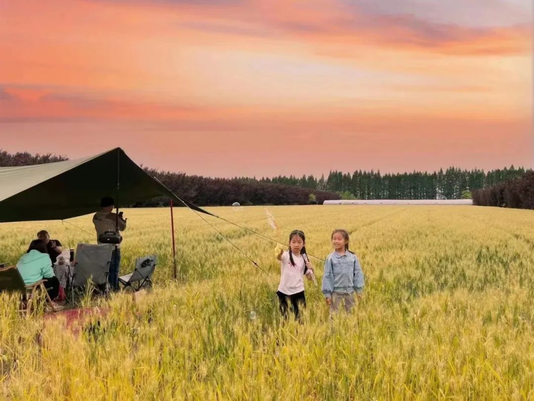 沈阳济州岛汤泉哪个店好,汤泉有什么好玩地方
