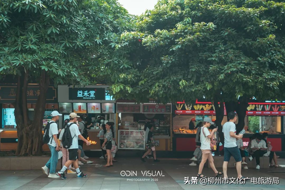 舌尖上的广西柳州视频,中国美食柳州话版