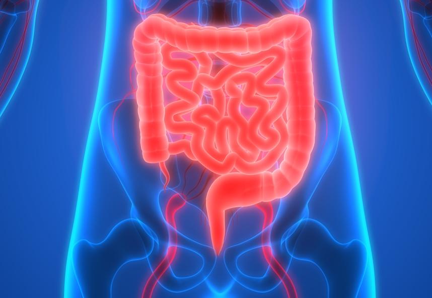 情侣间的“灌肠游戏”影响身体健康吗？听听医生怎么说