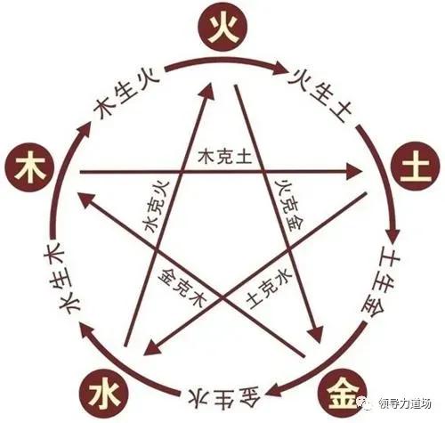 禅解道德经,禅解论语原文