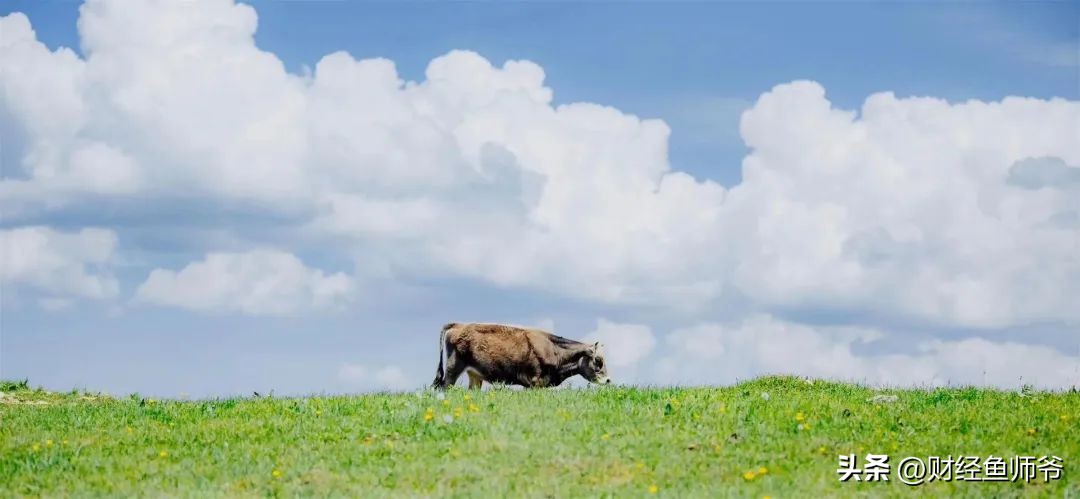 院外药之谜,院外靶向药为啥叫院外