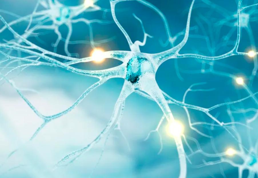 50岁后有必要每天补充叶酸吗,50岁以后叶酸需要长期吃吗