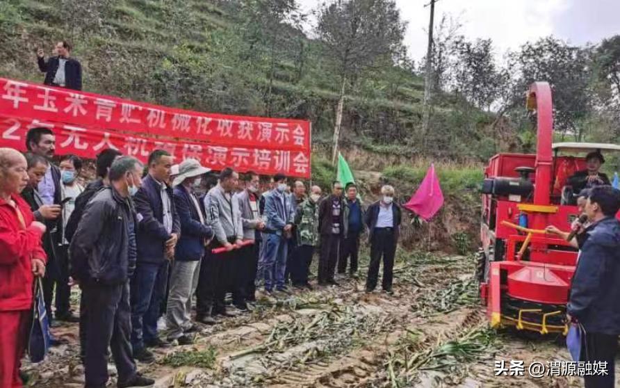 紧盯短板弱项助力产业发展——县农机中心组织开展玉米青贮机械化收获现场演示活动