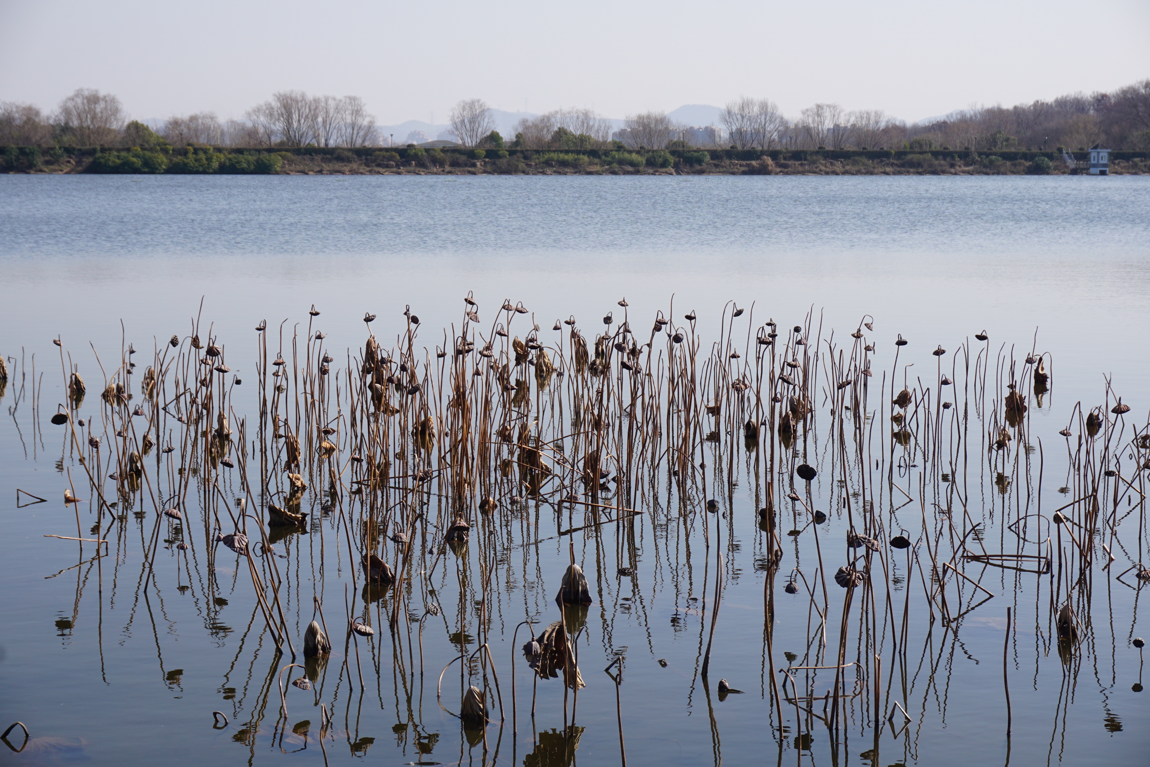 南京人看杭州,南京紫金山庄在哪里
