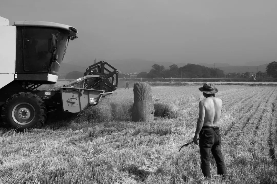 大师级摄影作品背后的五大法则,大师是怎么炼成的