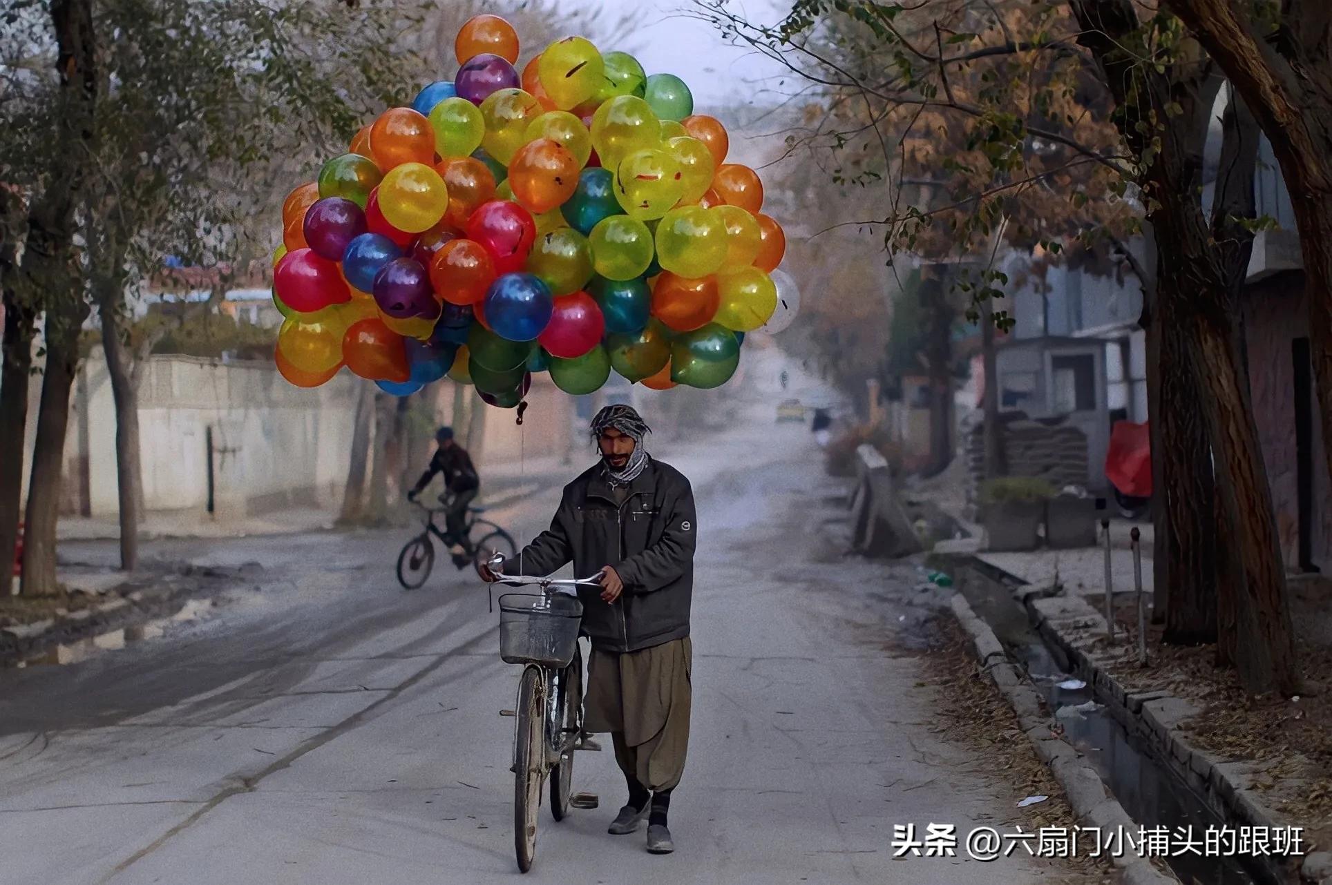 懂懂日记公众号,懂懂日记全集解说