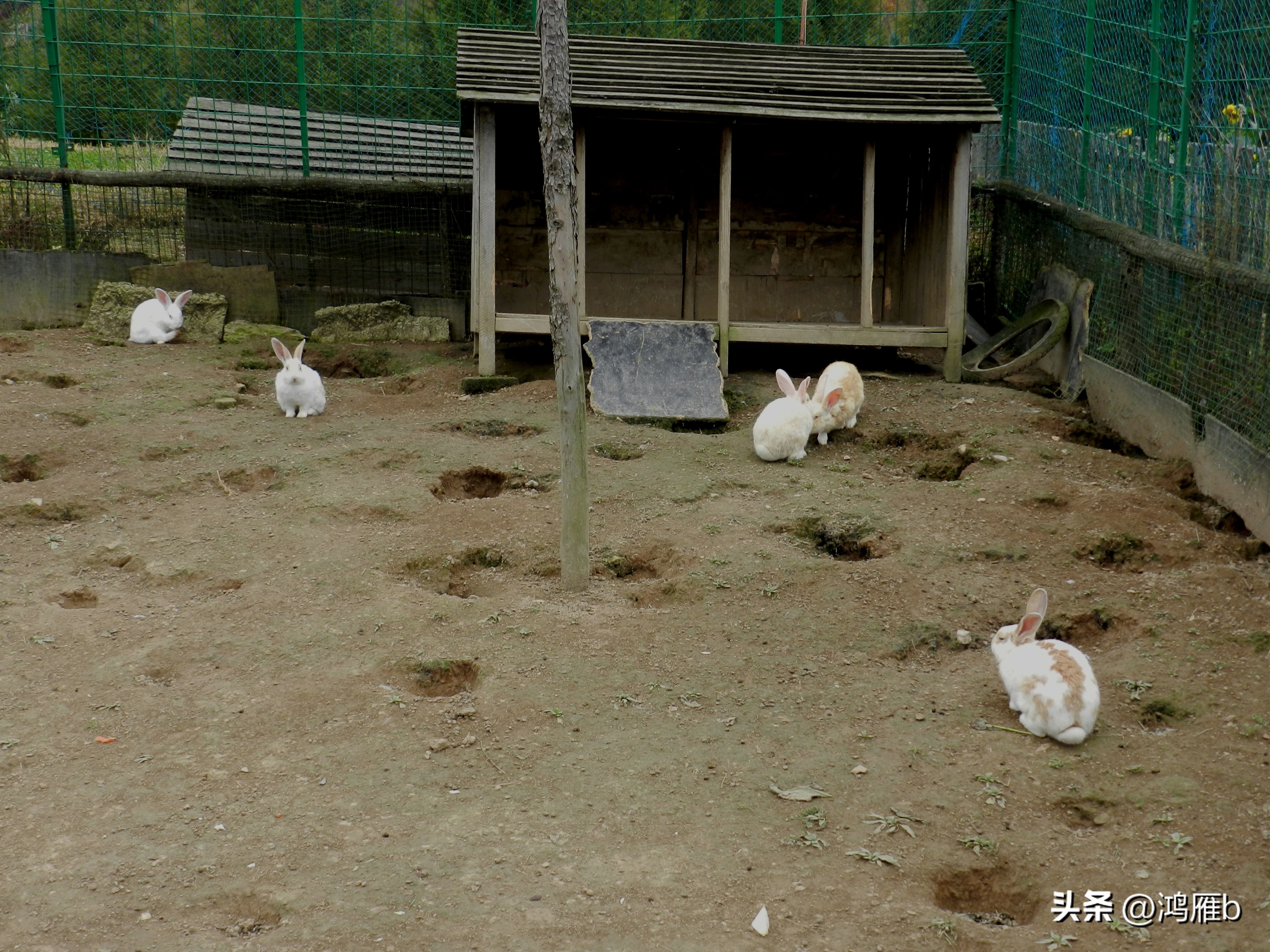 本溪温泉汤沟门票价格,本溪花溪沐枫雪温泉小镇