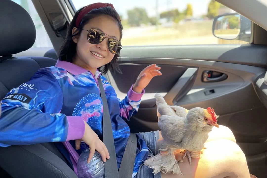 90后小荷在澳洲:环游26国,在990平房子里,种菜喂鸡养蜜蜂