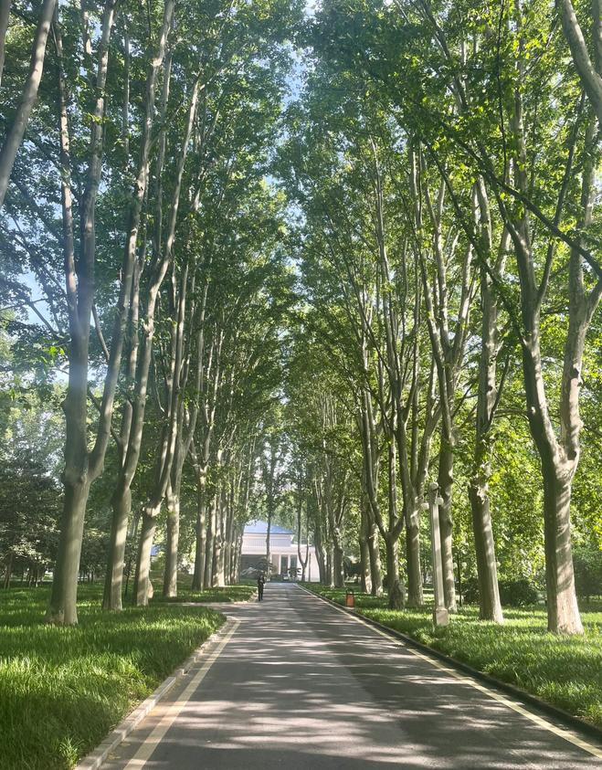 从郑州旅游回来才知道的血泪教训,去郑州回来后谈谈我对郑州的印象