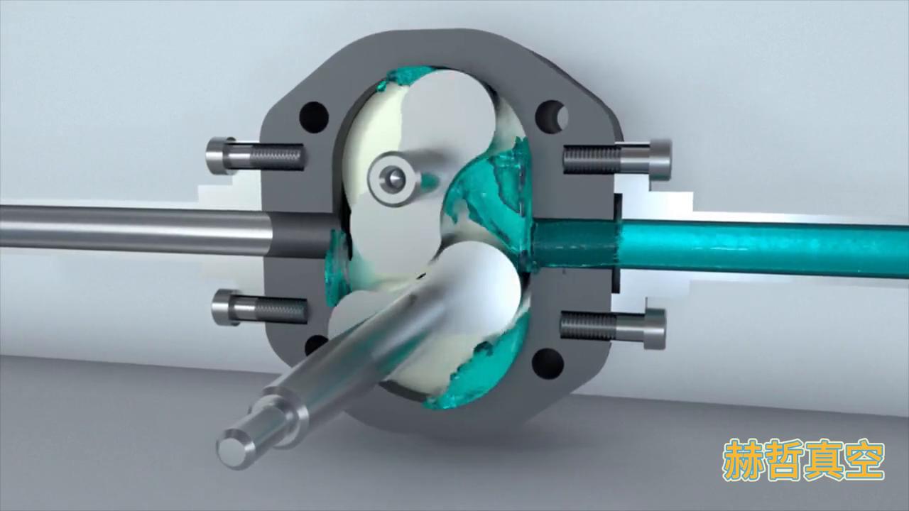 真空转子泵工作原理,赫哲真空泵