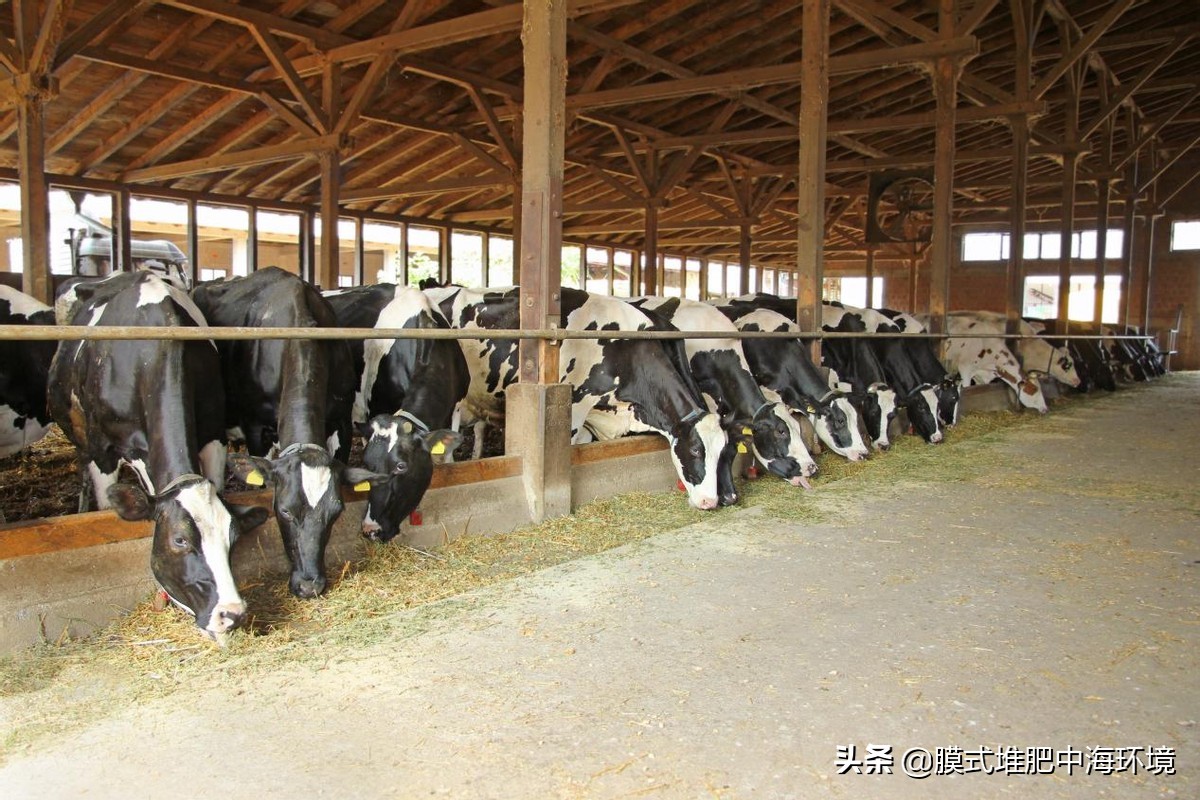 2022年农村创业致富的好项目,2024国家扶持农村的免费创业项目