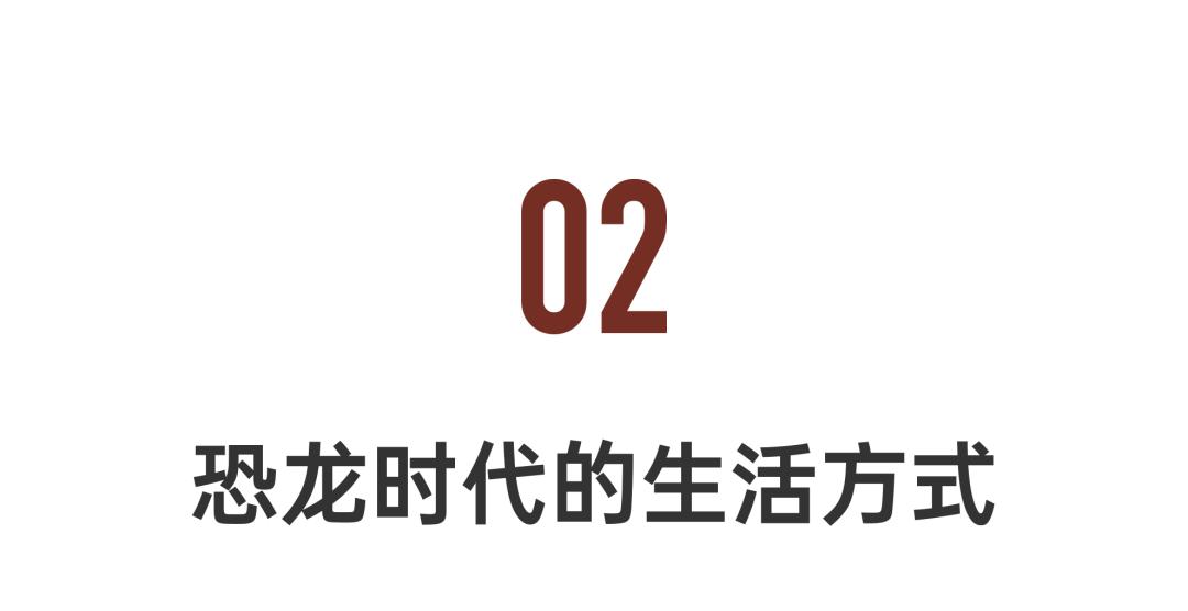 2022年十大必看大片,2022年最震撼视频