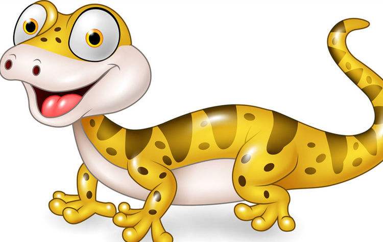 老人口中一碰就碎的“碎蛇”，尾巴吃了大补，是蛇和蜥蜴的杂交？