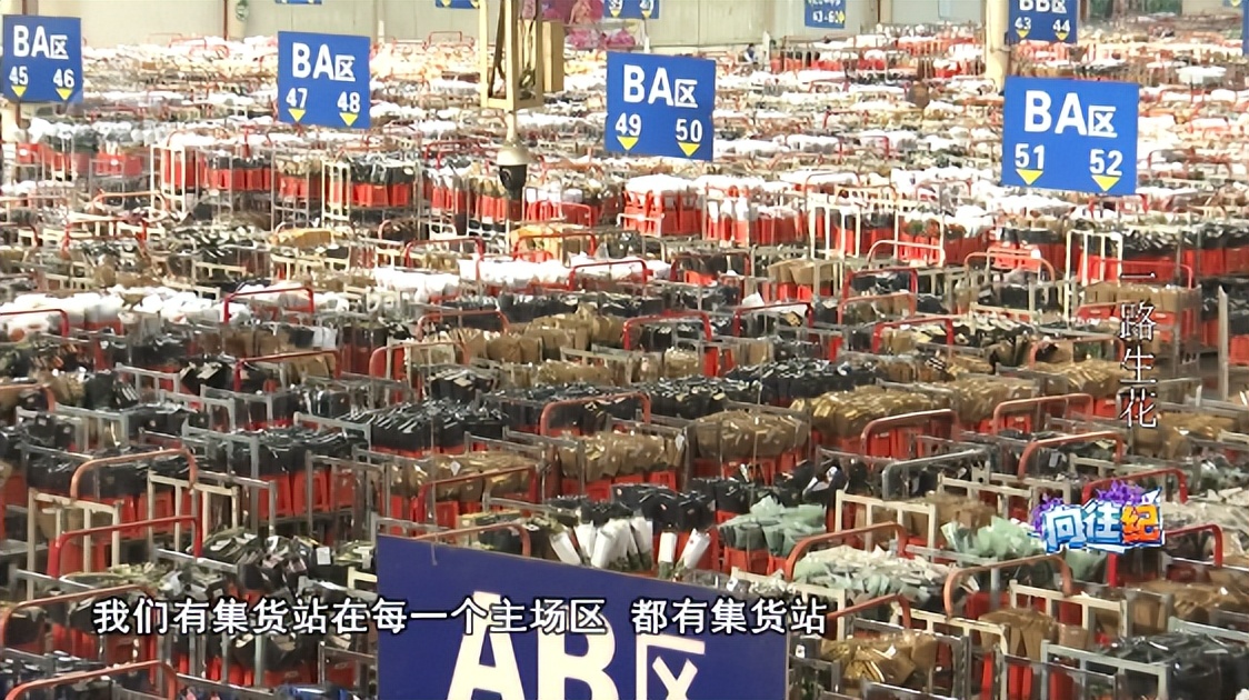 盘点人们都向往的工作,向往的工作和现实的工作