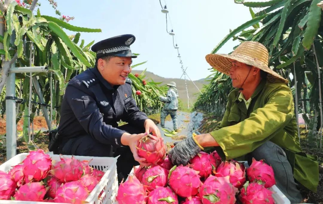 海南公安十大亮点,2015年公安热点海南