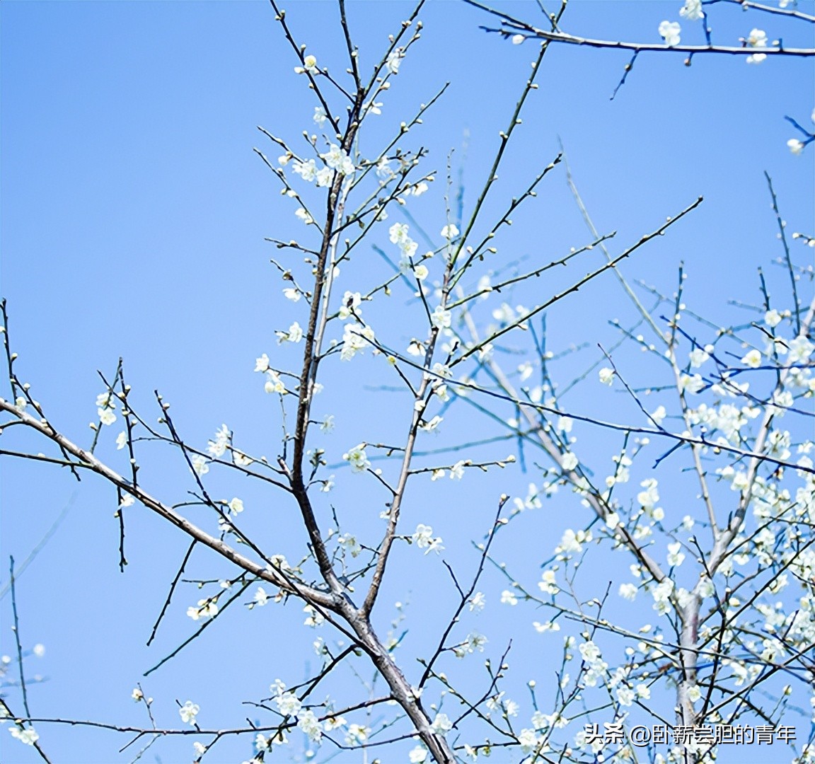 广州市黄埔区星汇城简介,广州市黄埔区科投简介